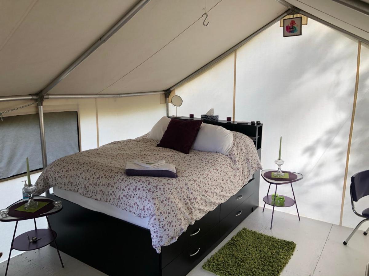 מלון Jade City Vines And Puppies Glamping Hideaway מראה חיצוני תמונה